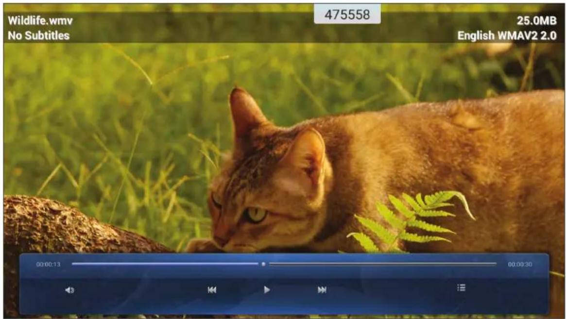 Wildlife.wmv No Subtitles 475558 25.0MB English WMAV2 2.0 00:00:13 00:00:30