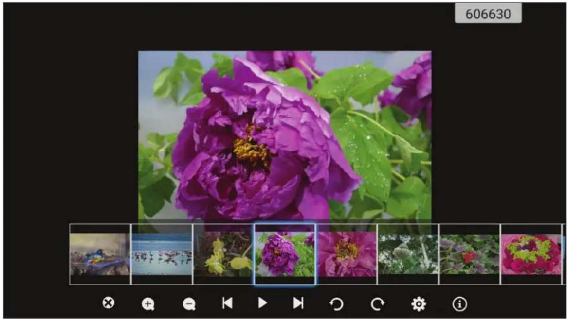OPTOMA OP861RK - Viewing photos - 1
