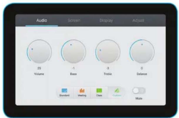 Audio Screen Display Adjust 25 Volume -1 Bass -3 Treble 0 Balance Standard Vesting Class Custom Mute