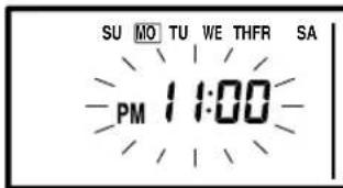 SU MO TU WE THFR SA PM 11:00
