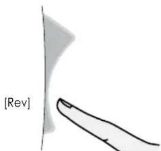 [Rev]