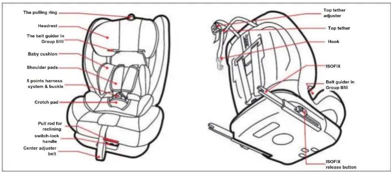 The pulling ring Headrest The belt guider in Group II/III Baby cushion Shoulder pads 5 points harness system & buckle Crotch pad Pull rod for reclining switch-lock handle Center adjuster belt Top tether adjuster Top tether Hook ISOFIX Belt guider in Group II/III ISOFIX release button