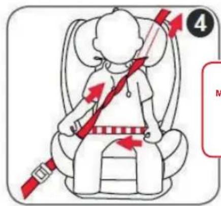 Diagram illustrating car seatbelt usage with red arrows indicating force direction and a numbered label 'M' in the corner.