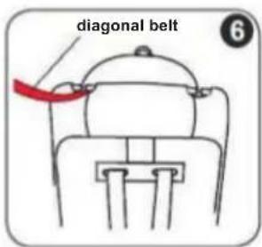 diagonal belt 6