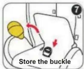 Store the buckle