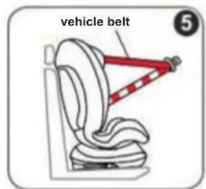 vehicle belt 5