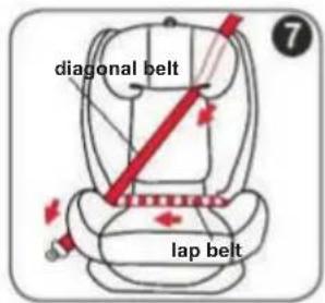 diagonal belt lap belt