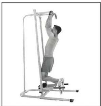 BOWFLEX BodyTower - Motion - 1
