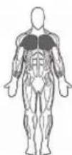 BOWFLEX BodyTower - Bar Position: - 1