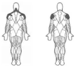 BOWFLEX BodyTower - Bar Position: - 1