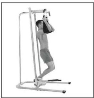 BOWFLEX BodyTower - Motion - 1