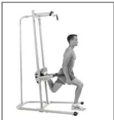 BOWFLEX BodyTower - Motion - 2