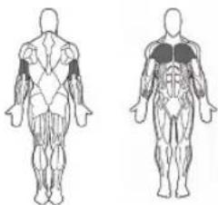 BOWFLEX BodyTower - Bar Position: - 1