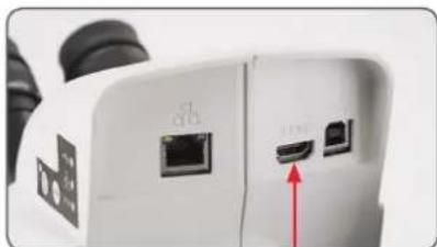 LEICA S9 E Set CO - Aufnahme eines Bildes - 3