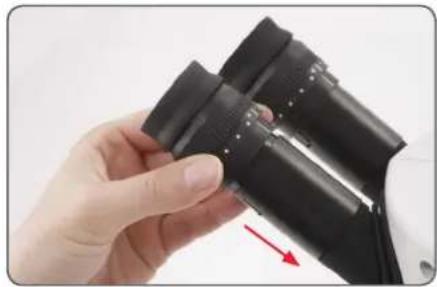 LEICA S9 E Set CO - Verwendung der Okulare - 1