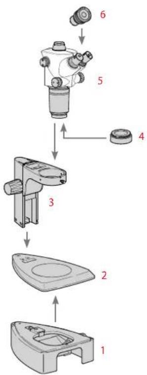 LEICA S9 E Set CO - Aufbau der Grundausrüstung (Übersicht) - 1