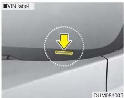 VIN label OUM084005