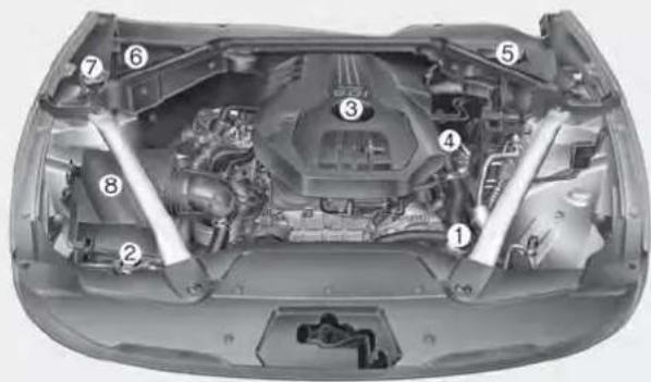 Labeled diagram of a car engine showing numbered components for identification