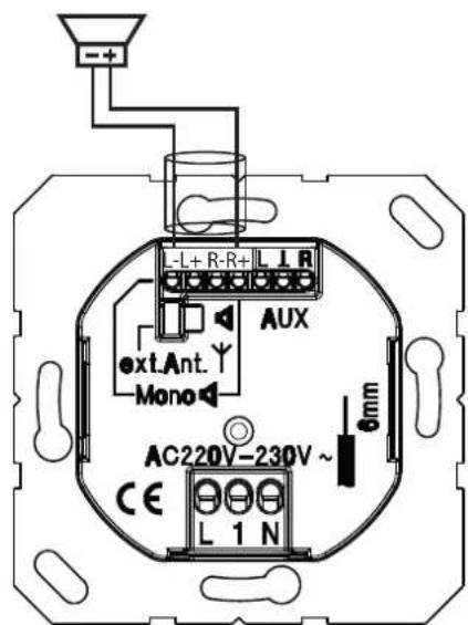 L-L+ R-R+ L L R Aux ext.Ant. Mono AC220V-230V ~ CE L 1 N 6mm
