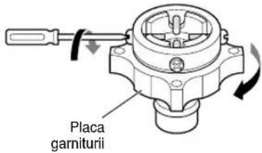 Placa garniturii