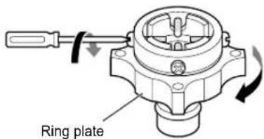 Ring plate