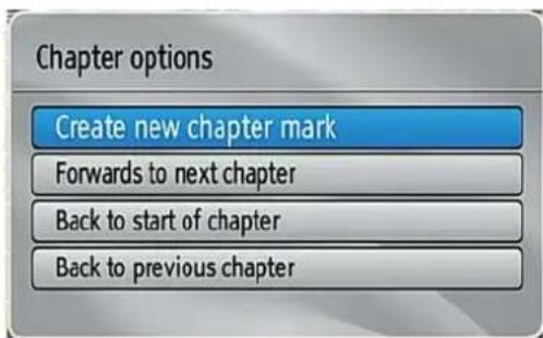Chapter options Create new chapter mark Forwards to next chapter Back to start of chapter Back to previous chapter