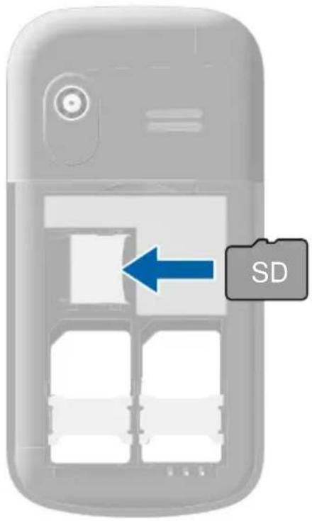 SD