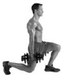 BOWFLEX SelectTech BD552 - Success tips - 2