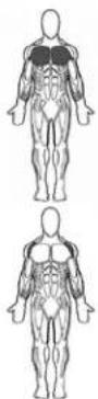 BOWFLEX SelectTech BD552 - Success tips - 1