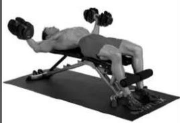BOWFLEX SelectTech BD552 - Success tips - 2