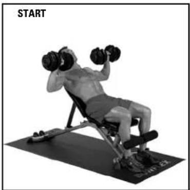 BOWFLEX SelectTech BD552 - Success tips - 2