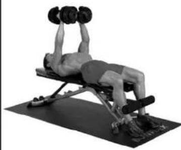 BOWFLEX SelectTech BD552 - Success tips - 3