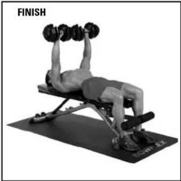 BOWFLEX SelectTech BD552 - Success tips - 3