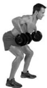 BOWFLEX SelectTech BD552 - Muscles worked - 3