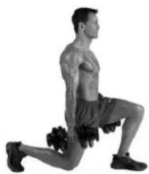 BOWFLEX SelectTech BD552 - Success tips - 2