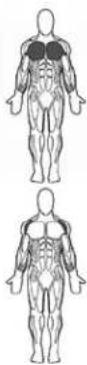 BOWFLEX SelectTech BD552 - Success tips - 1