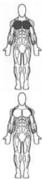 BOWFLEX SelectTech BD552 - Success tips - 1