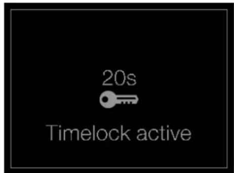 20s Timelock active