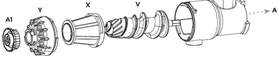 A1 Y X V A