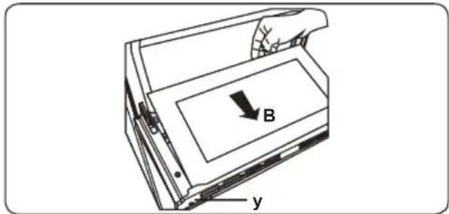 B y