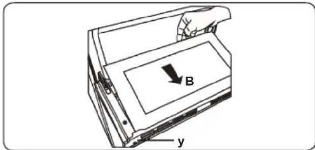 B y