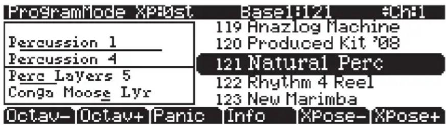 ProgramMode XP80st Base1:121 -CH1 119 Anazlog Machine 120 Produced Kit '08 Percussion 1 Percussion 4 121 Natural Perc Perc Layers 5 Congo Moose Lyr 122 Rhythm 4 Reel 123 New Marimba Octav- Octav+ Panic Info XPose- XPose+