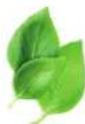 NUTRIBULLET 900 - GETTING STARTED - 1