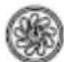 Infiniton CMPTRAL-W69 - SEMPRE FAZER - 5