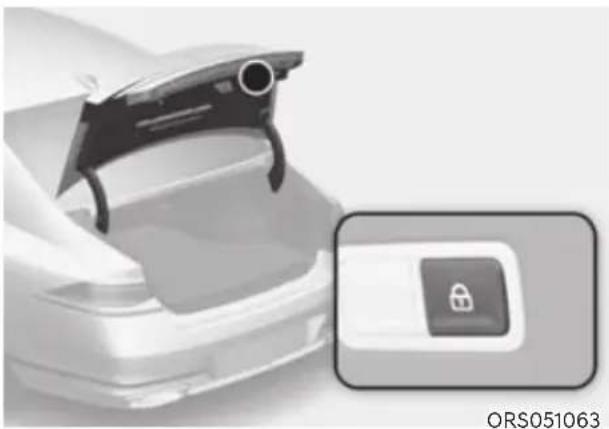 HYUNDAI Genesis G90 (2023) - Power trunk lock button (Inside the power trunk) - 1