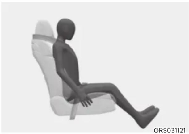 HYUNDAI Genesis G90 (2023) - WARNING - 11