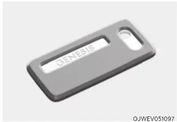GENESIS OJWEV051097