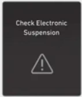 Check Electronic Suspension