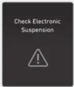 Check Electronic Suspension