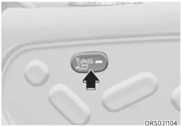 PASS ORS031104